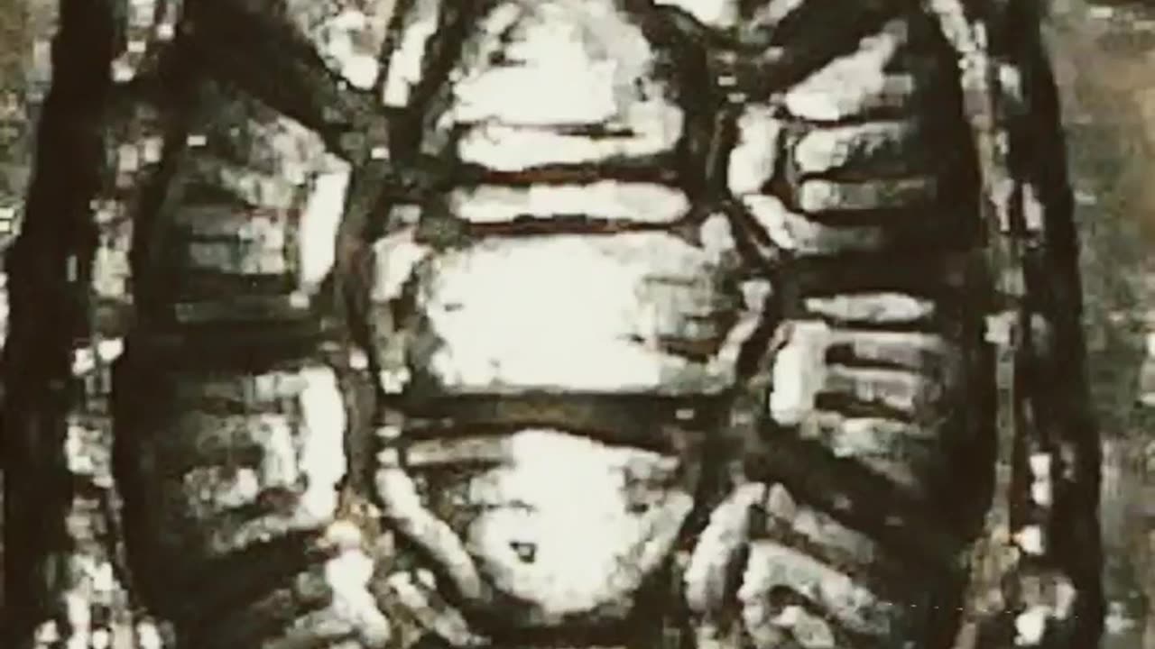 The 7 Oldest Coins That Still Exist