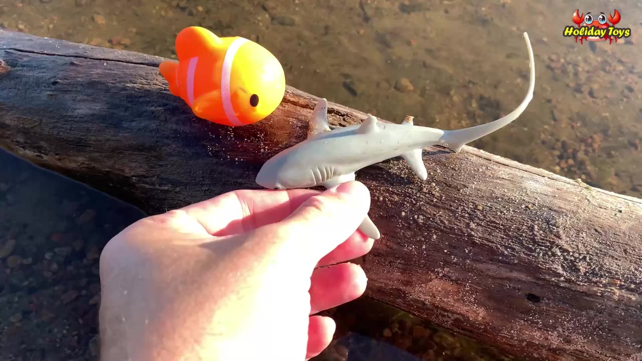 Row of Animals Hiding in the Sand Lined Up on Dry Wood