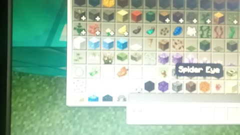 Playing minecraft