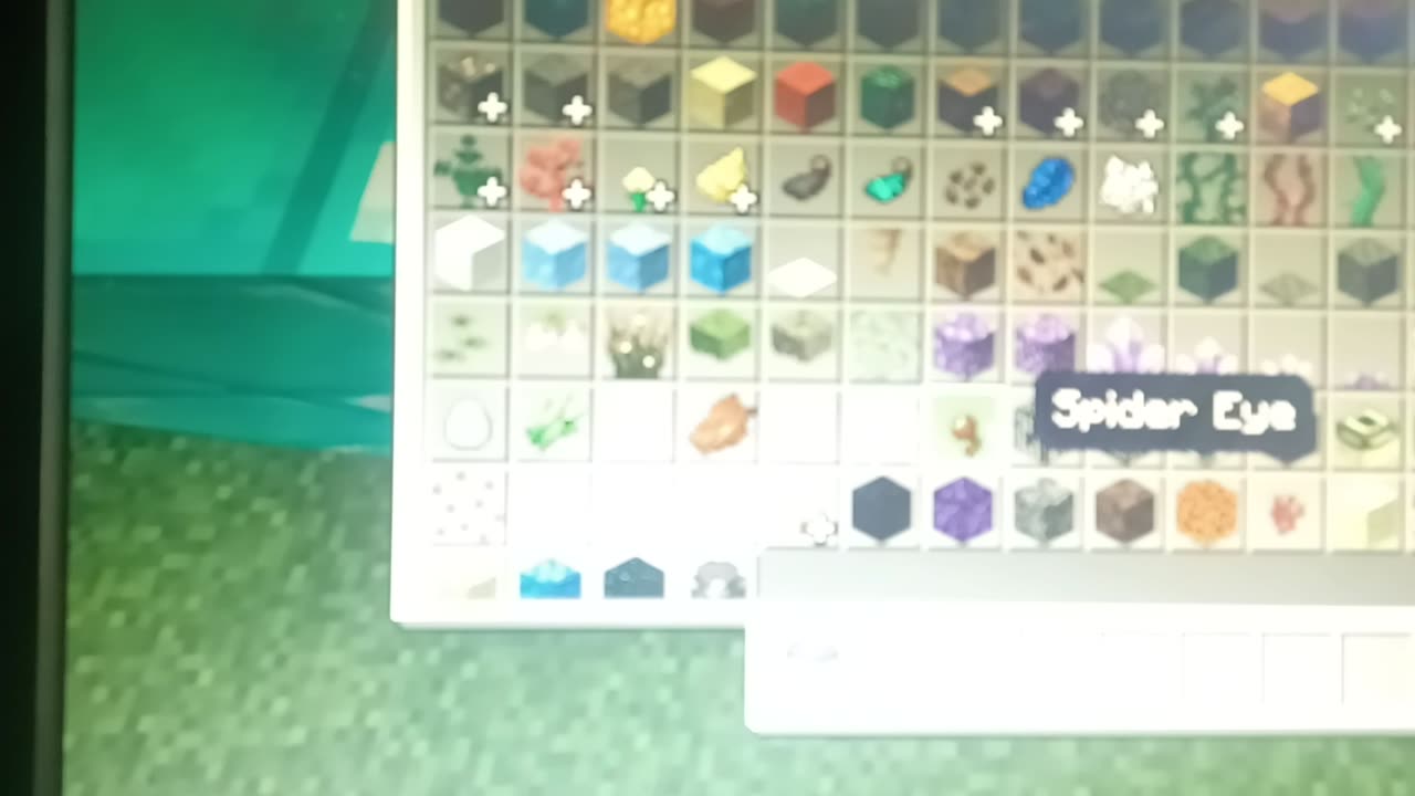 Playing minecraft