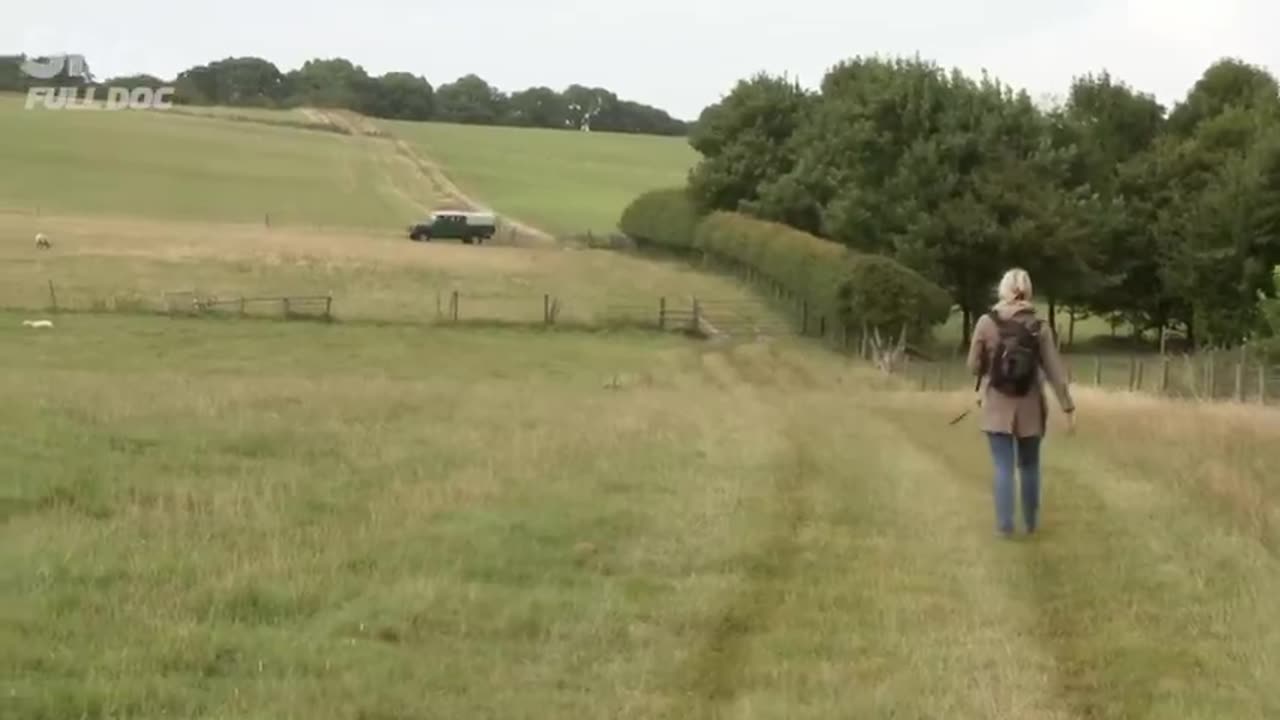 Crop Circles: Alien Messages or Human Designs?