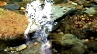 396 Hz with 2 Hz Delta Waves with Stream - Restorative Sleep - Healing & Regeneration - Alertness