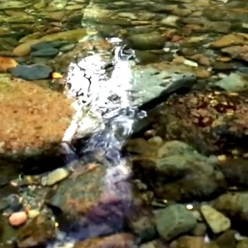 396 Hz with 2 Hz Delta Waves with Stream - Restorative Sleep - Healing & Regeneration - Alertness