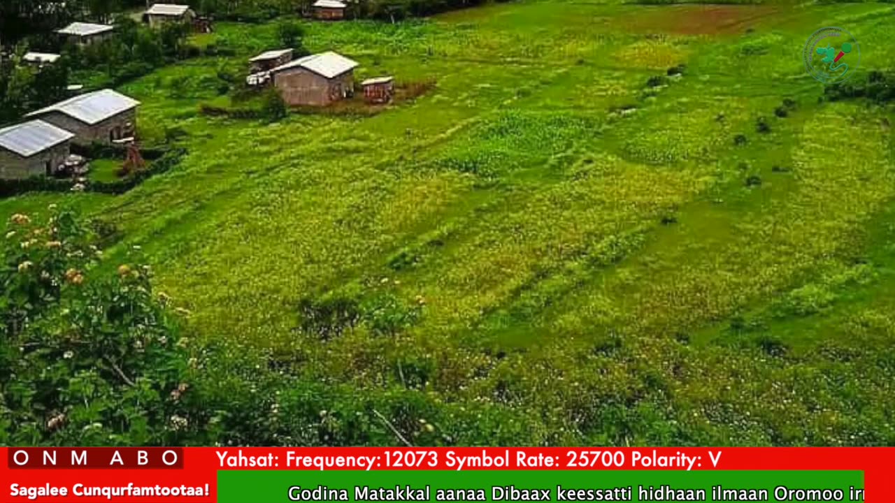 Oduu Ganama ONM-ABO Caamsaa 22-2025 itti dhiyaadhaa!