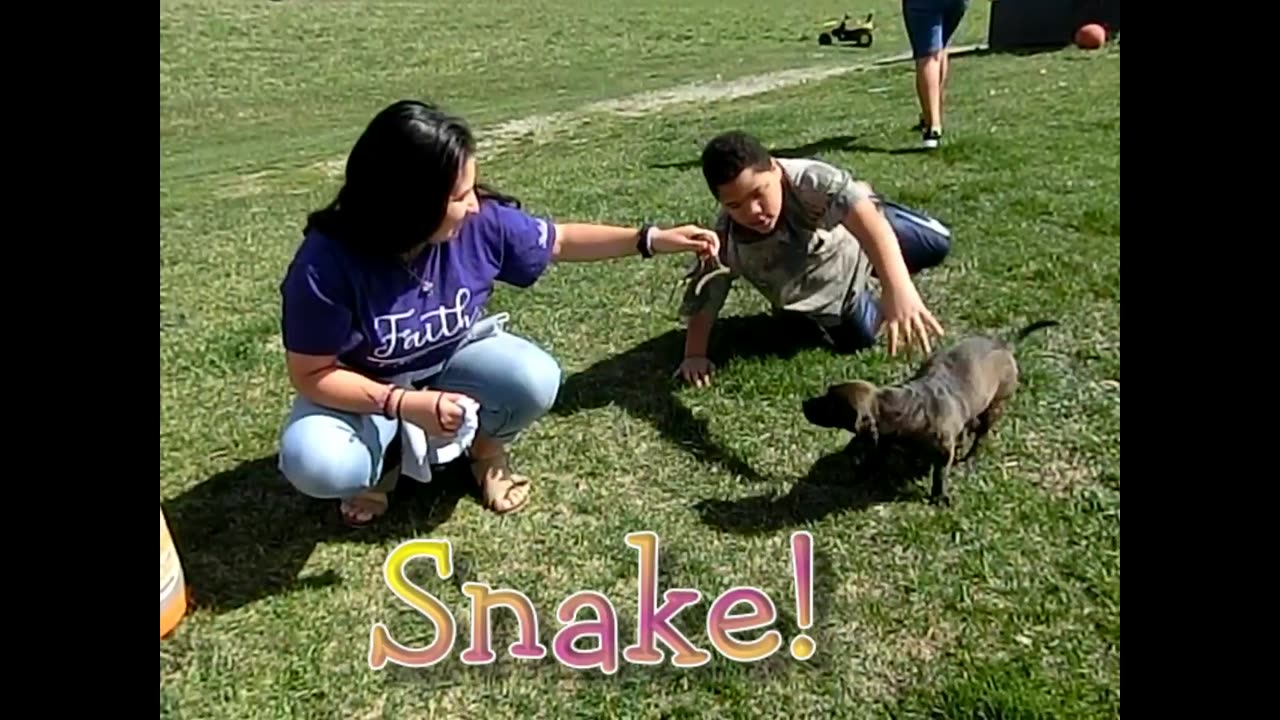 Snake!