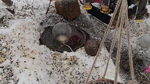 Macrame hanging bird feeders are fantastic
