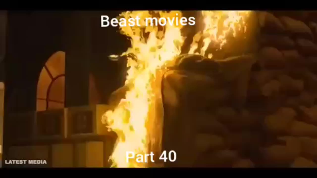 Beast latest best movies in hindi entertainment and feting