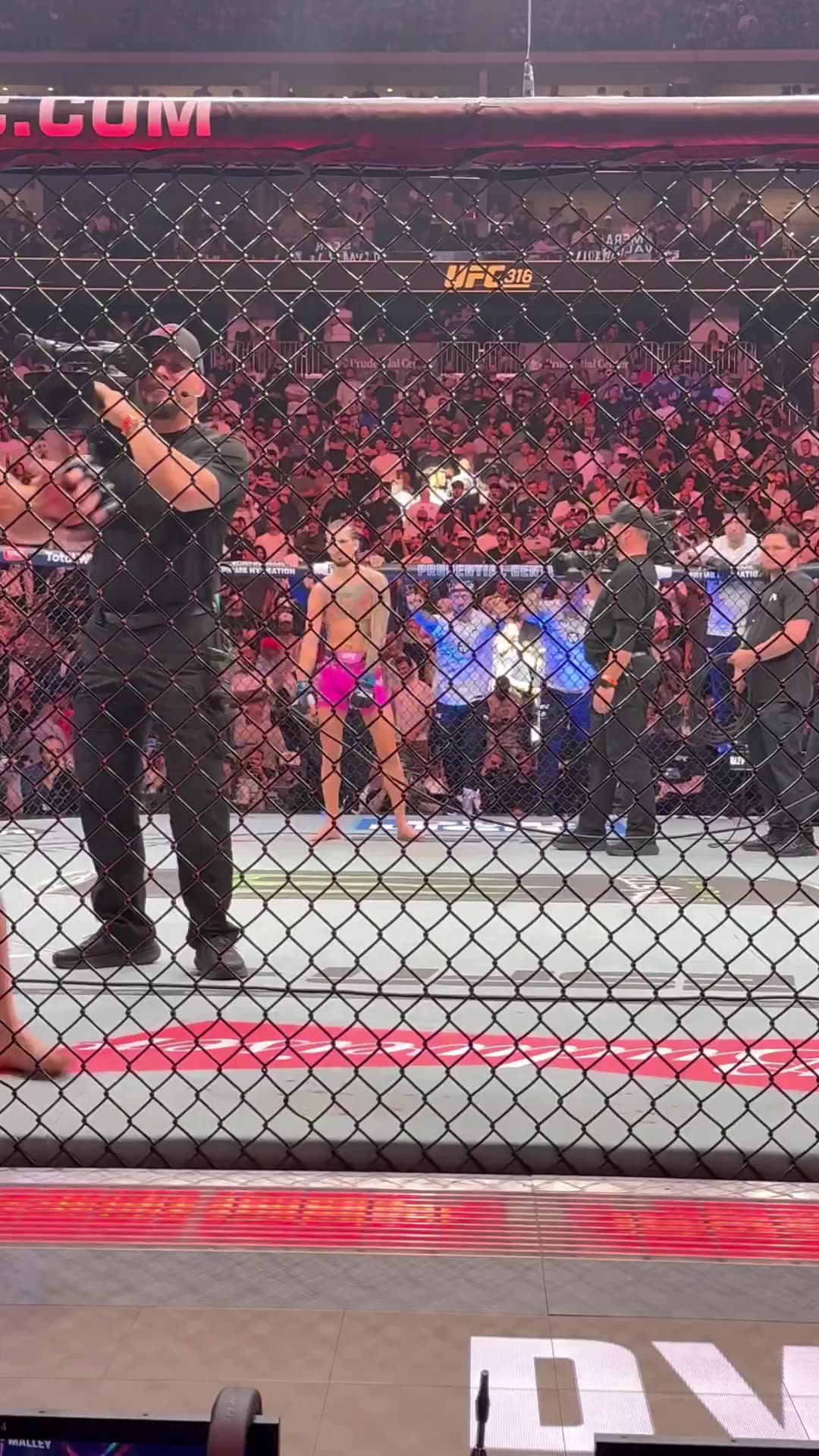 President Donald J. Trump at UFC 316.