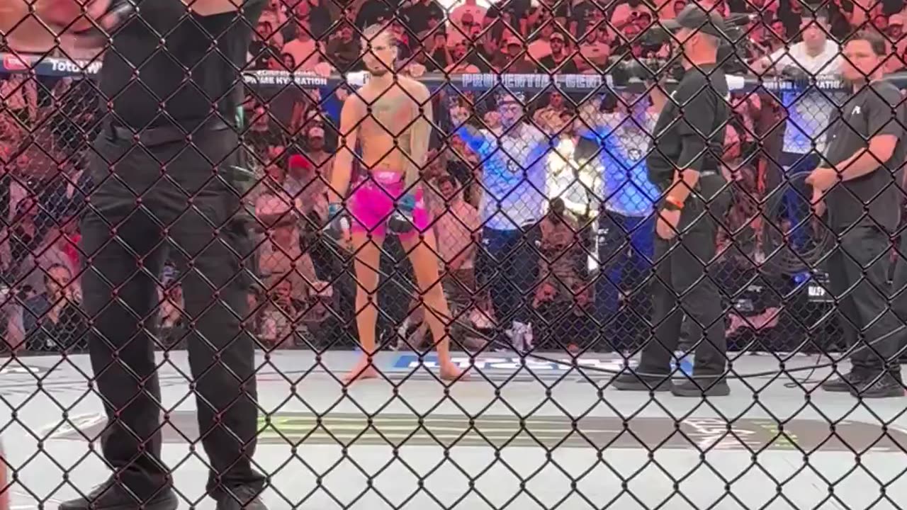 President Donald J. Trump at UFC 316.