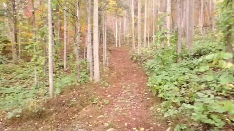 Flock it farm update October 2025