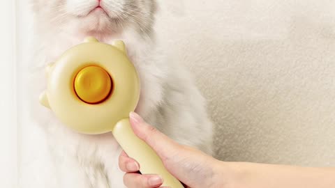 KittyKomb: The Magic Pet Hair Removal Comb for a Fur-Free Home & Happy Pets!
