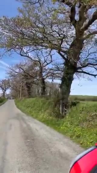 Est-ce que quelqu'un trouve cela normal ?🤔✈️🌫️