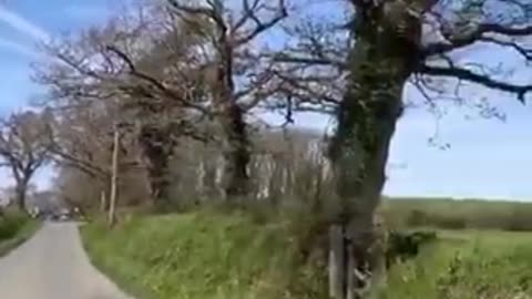 Est-ce que quelqu'un trouve cela normal ?🤔✈️🌫️