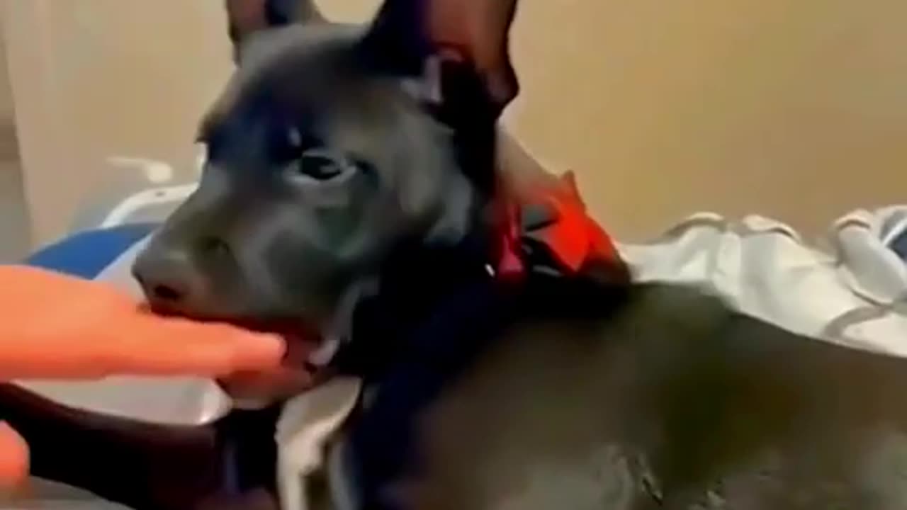 im-getting-dizzy-just-watching-this-fail-fall-funny-afv-1080-