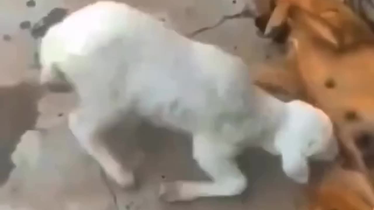 Funny