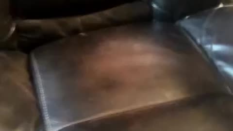 egg shaking