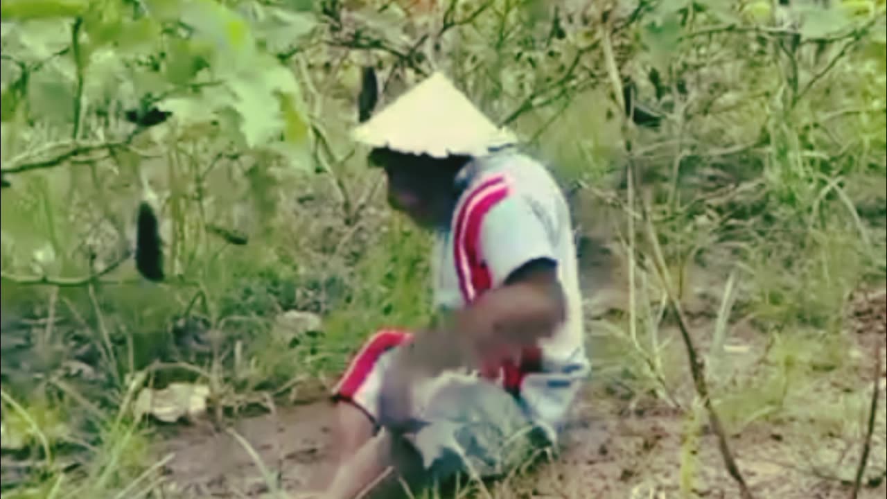Monkey Pranks