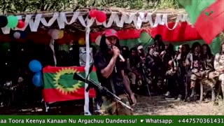 Qophii Eebba ONM-ABO Sadaasa 17-2025 itti dhiyaadhaa!