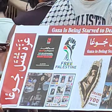 "Gaza is being starved to death" (by Israel and USA).