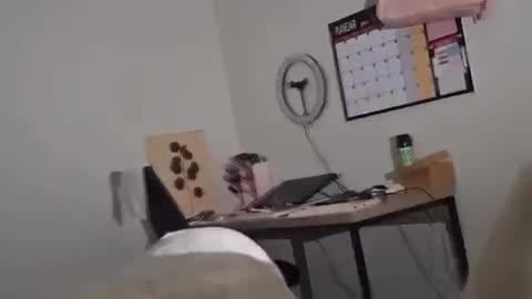 🤣🐱 Shadow Puppet Startle Gone Wrong! | FunFM