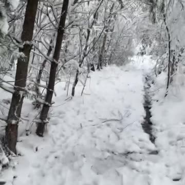 Walking in the snow ASMR #asmr