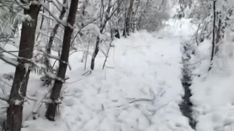 Walking in the snow ASMR #asmr