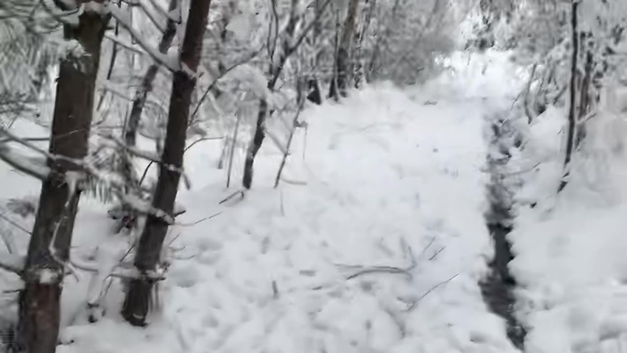 Walking in the snow ASMR #asmr