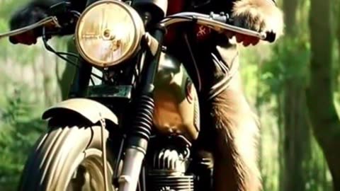Vintage Ride