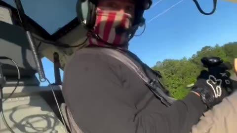 TREE TRIMMING AT ITS BEST!