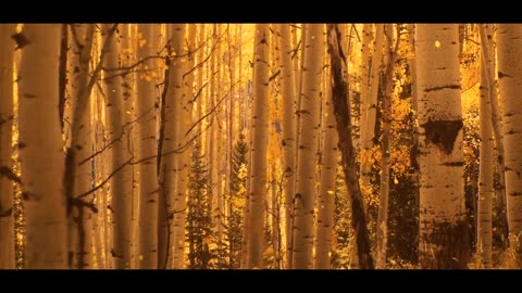 Inspiring Background Music