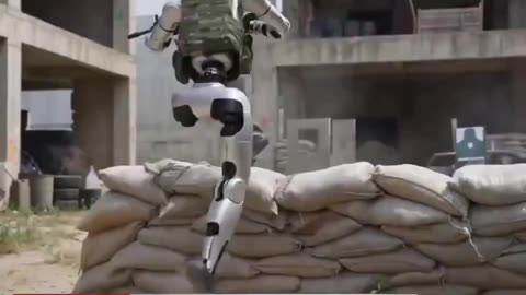 Footage of Chinese Robots Provides Alarming Glimpse Into New Era of War