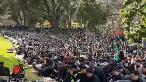 Even in Melbourne. Incredible.