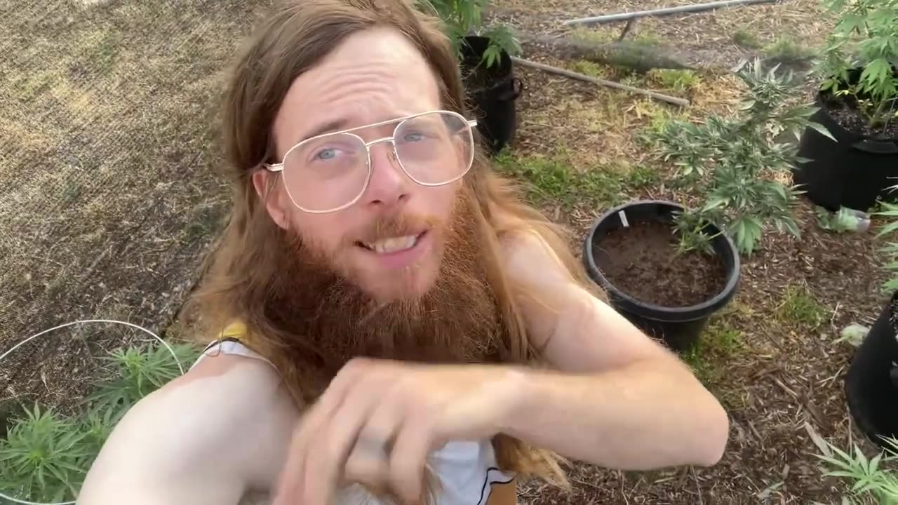 LETS SEE HOW THE “TOMATO” GARDEN IS LOOKING MAY 12th 2025