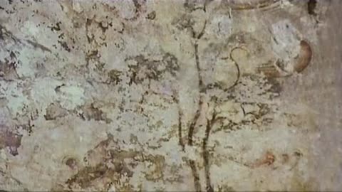 Pine Tree, national tree of the DPRK