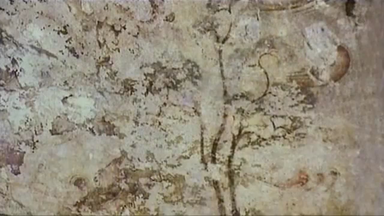 Pine Tree, national tree of the DPRK