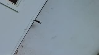 They Said They Moved Out… Let’s See If That’s True 👀 | Eviction Aftermath