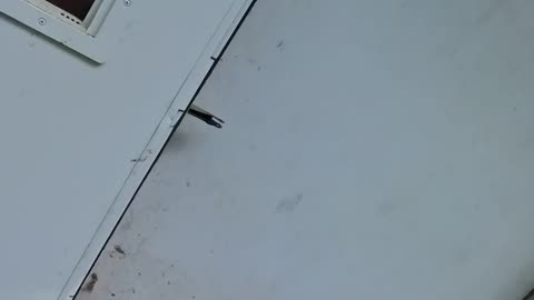 They Said They Moved Out… Let’s See If That’s True 👀 | Eviction Aftermath