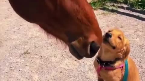 How can I call this love?