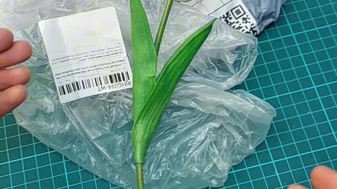 When a Tulip Turns Into a Prank!
