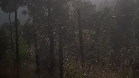 Long drive