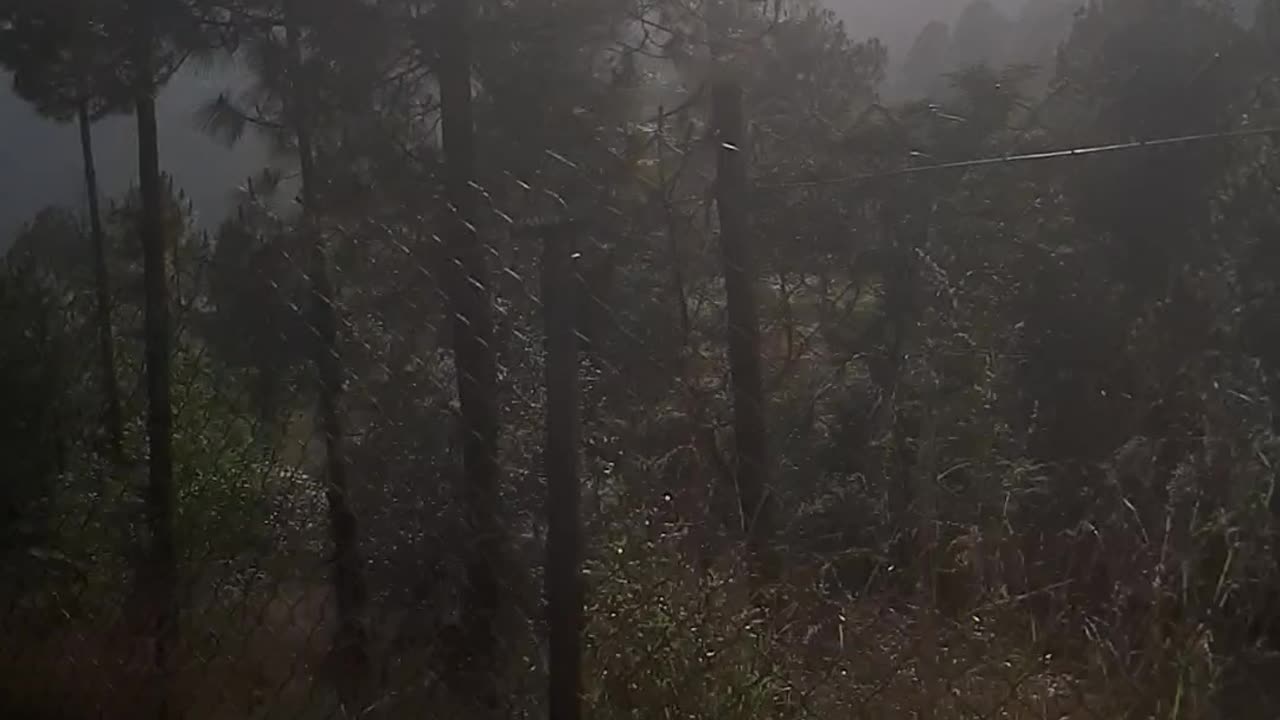 Long drive