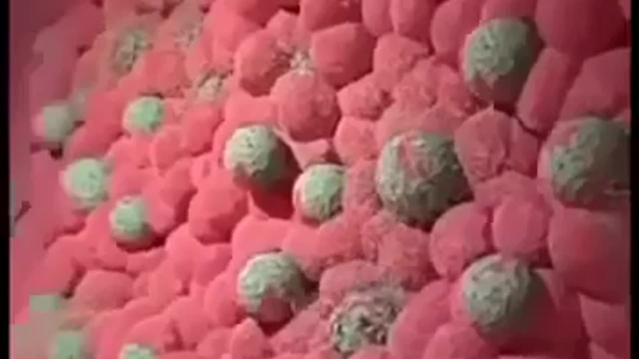 Moringa magic effects, you can buy it , the link in video description