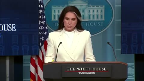 Tulsi Gabbard’s Bombshell Links Obama to 2020 Government Sabotage