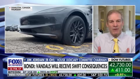 Jim Jordan highlights Dem craziness amid Tesla vandalism