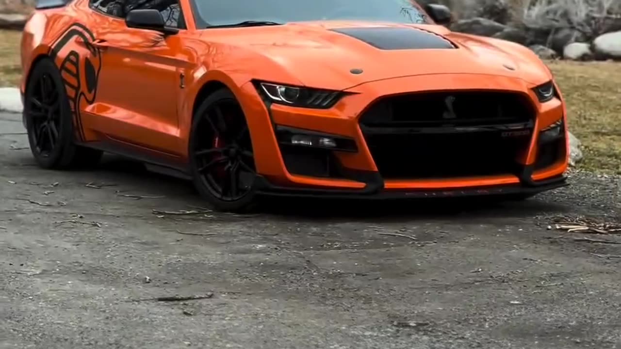 High-Octane Thrills | Fast Cars & Bikes 🚗🔥