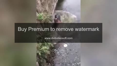 DEMO with Love Nature