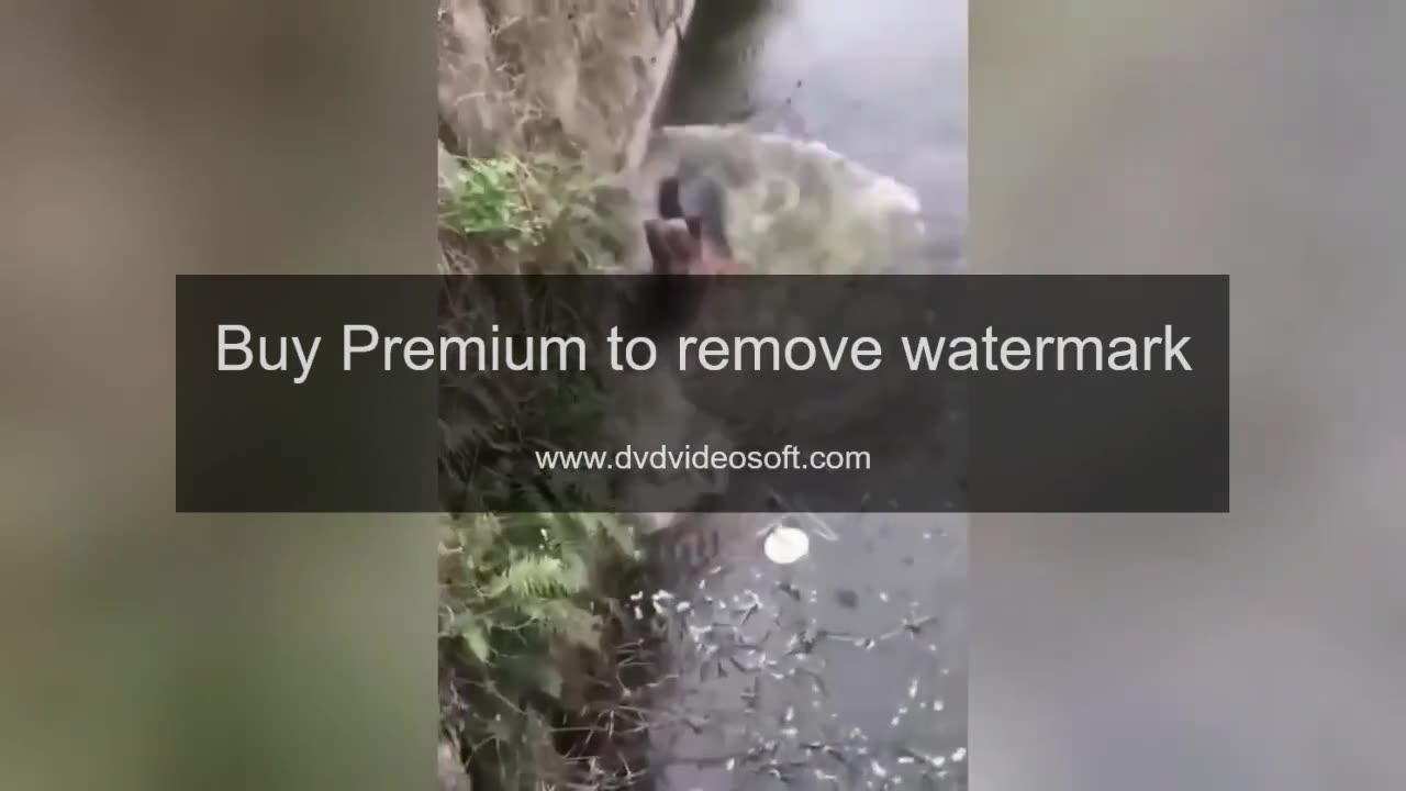 DEMO with Love Nature