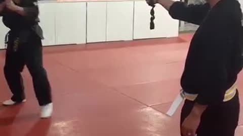 Tong Hap Kwan Hoshinsul Kicking Techniques