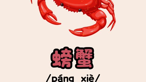 🦞1 phút bỏ túi 9 từ vựng hải sản để đọc thực đơn tiếng Trung - bacnhabook.vn