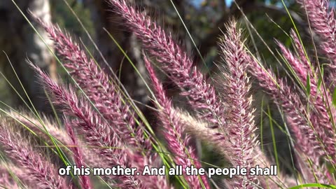 Deuteronomy Chapter 27